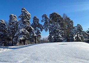 Akimirka Švedijoje